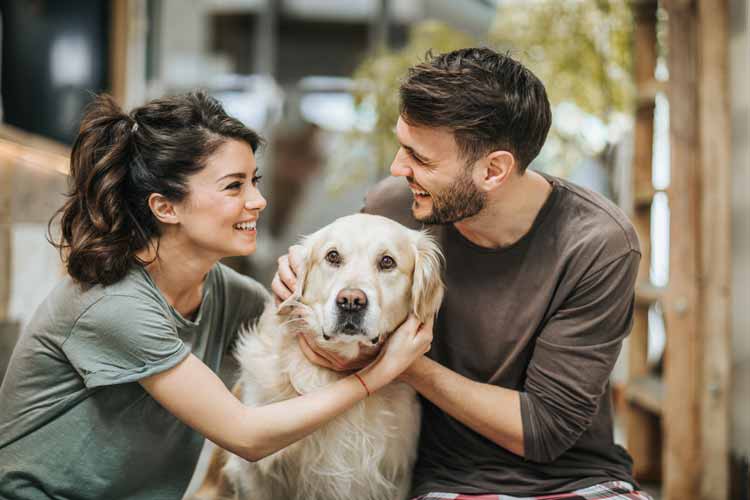 Heterosexuelles Paar mit einem Hund